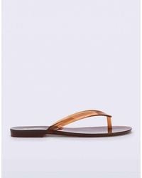 Melissa - Harmonic Jelly Thong - Lyst