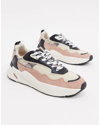 basket femme stradivarius