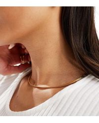 Accessorize - Z Collection - Lyst