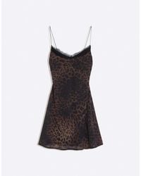 Bershka - Animal Print Lace Tulle Mini Dress - Lyst