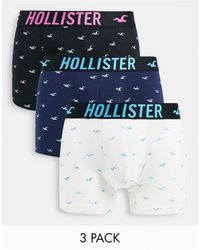 Hollister – 3er-pack - Blau