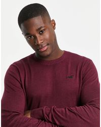 Hollister Crew neck jumpers for Men 