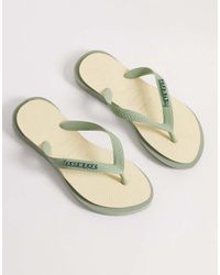 Havaianas - Top Point Flip Flops - Lyst