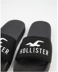 mens hollister flip flops