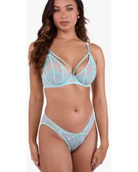 Playful Promises - Valerie Embroidery & Mesh Brief - Lyst