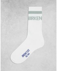 Birkenstock - Chaussettes rayées unisexes en coton - /sauge - Lyst