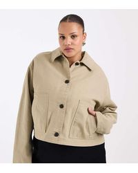 ASOS - Asos Design Curve Short Cotton Harrington Jacket - Lyst