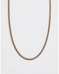 Icon Brand Cadena barbada dorada para el cuello - Metálico