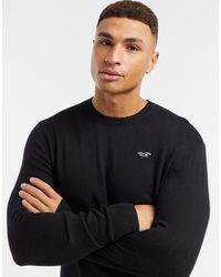 hollister jumper men's uk