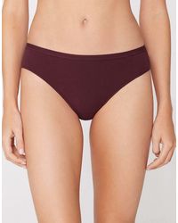 Tezenis - Cotton Knickers - Lyst