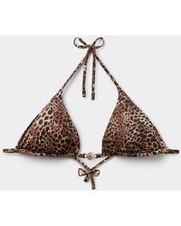 Tezenis - Savage Sun Bikini Top - Lyst