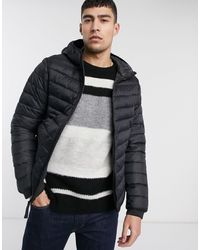 hollister hooded puffer jacket icon logo in black