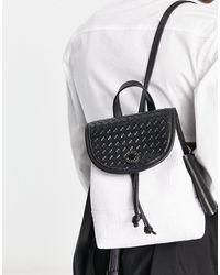 Steve Madden Backpacks for Women 