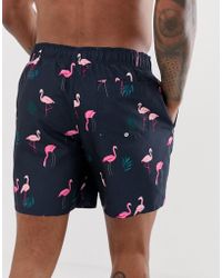 mens swim shorts hollister