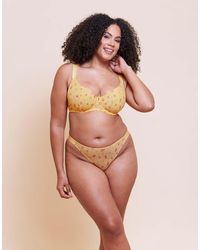 Curvy Kate - Cool Cat Tanga - Lyst