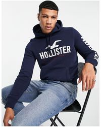 hollister mens hoodies