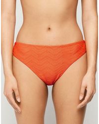 Tezenis - Sparkling Bikini Bottoms - Lyst