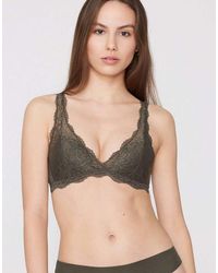 Tezenis - Havana Lace Triangle Bra - Lyst
