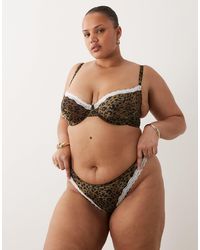 ASOS - Asos Design Curve Savannah Sheer Mesh Leopard Print Brazilian With Cream Lace Trim - Lyst