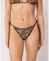 Calzedonia - Tie Brazilian Bikini Bottoms Doll Zebra - Lyst