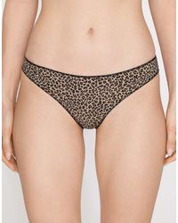 Tezenis - Printed Microfibre Brazilian Briefs - Lyst