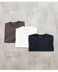 Hollister - 3 Pack Long Sleeve T-Shirts - Lyst