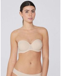 Tezenis - Full Coverage Padded Bandeau Bra - Lyst