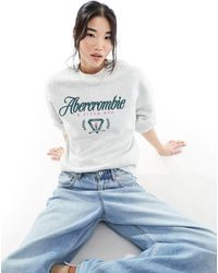Abercrombie & Fitch - Heritage Embriodery And Print Sweatshirt - Lyst