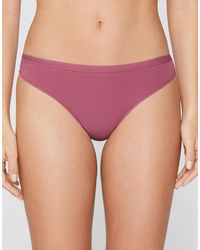 Tezenis - Plain Colour Cotton Brazilian Briefs - Lyst
