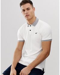 polo shirt hollister