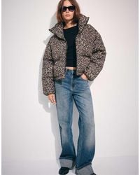 Stradivarius - Animal Print High-neck Padded Cropped Jacket - Lyst