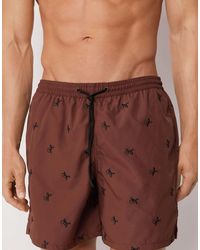 Calzedonia - Pattern Swim Boxer Formentera - Lyst