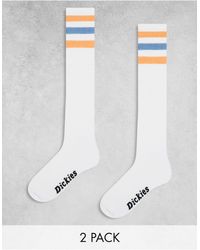 Dickies - Lutak - calzini lunghi bianchi con righe arancioni e blu - Lyst