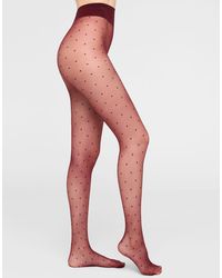 Calzedonia - Sheer Polka Dot Tights - Lyst