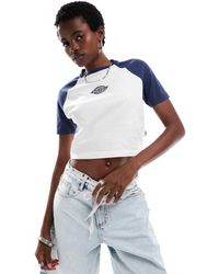 Dickies - Sodaville Short Sleeve Cropped T-shirt - Lyst