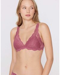 Tezenis - Havana Lace Triangle Bra - Lyst