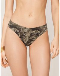 Tezenis - Brazilian Briefs High-Cut Golden Tropics - Lyst