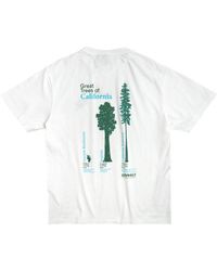 Gramicci Cali Trees Tee - Weiß