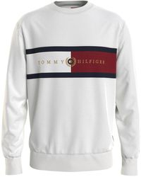Tommy Hilfiger Jumpers and knitwear for Men | Online Sale up to 64% off |  Lyst UK