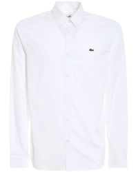 lacoste shirts men