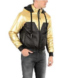 cavalini jacket price