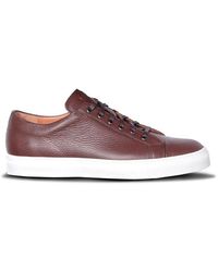 Lacuzzo Leather Trainer - Brown