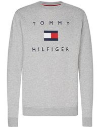 tommy hilfiger crew neck mens