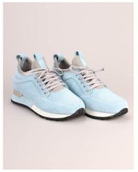 mallet trainers sale