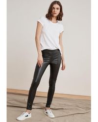 velvet by graham and spencer pants