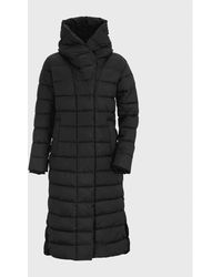 christmas sweaters for family and dog