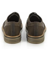 barbour brogues