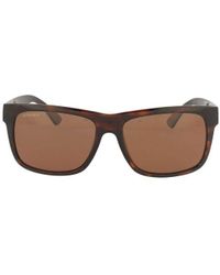 Serengeti Colour Metal Sunglasses - Brown