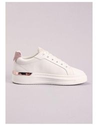 tommy mallet womens trainers
