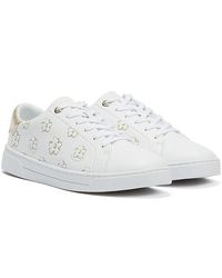 ted baker nema trainers